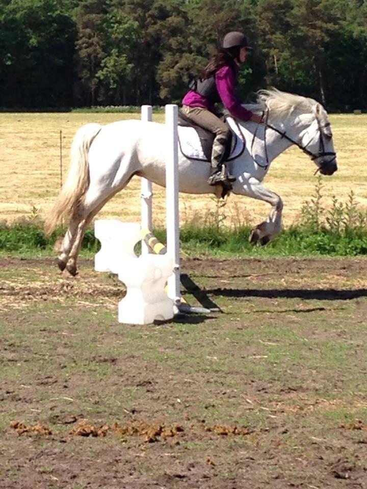 Connemara Britania billede 2