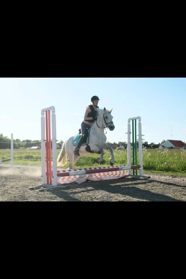 Connemara Britania billede 3