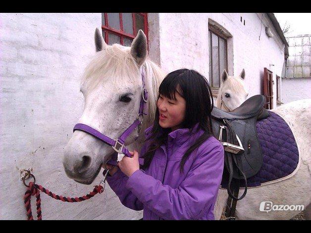 Connemara Britania billede 4