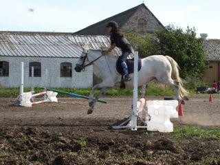 Connemara Britania billede 6