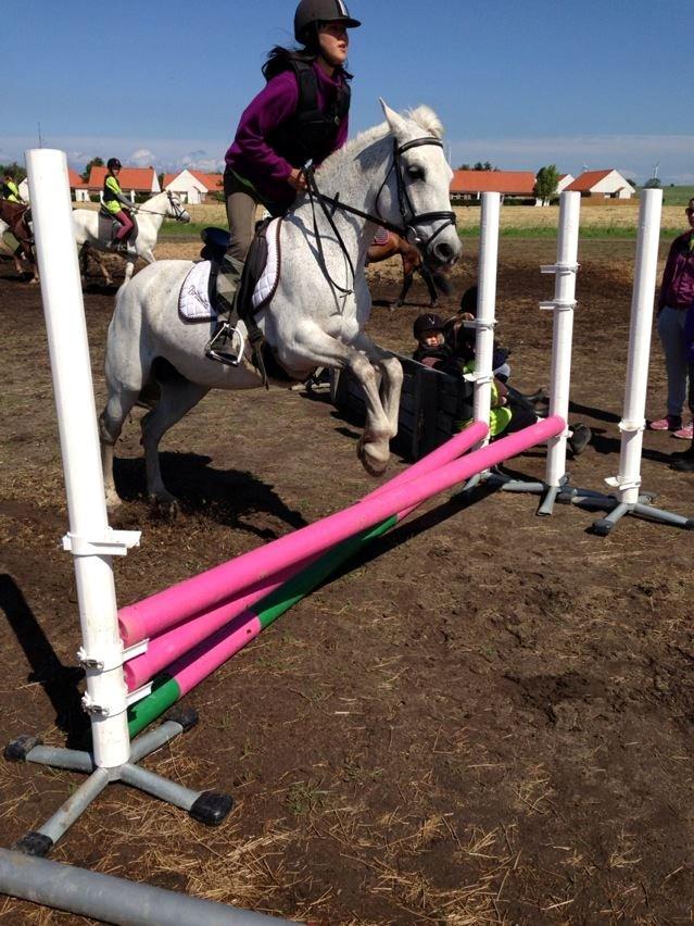 Connemara Britania billede 8