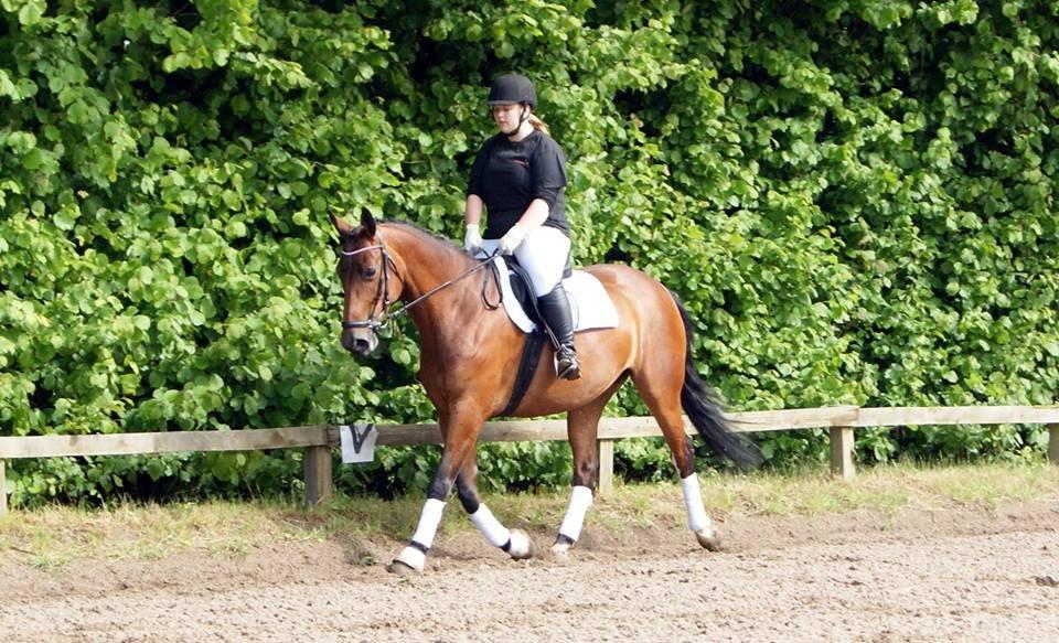 Anden særlig race Nikita   *TUTTE*   >>VBH<< - 9/ Nikita i LC1 til 62,71% til KLR's træningsstævne d. 15 juni 2013. (Foto: Lykkes kamera) billede 9