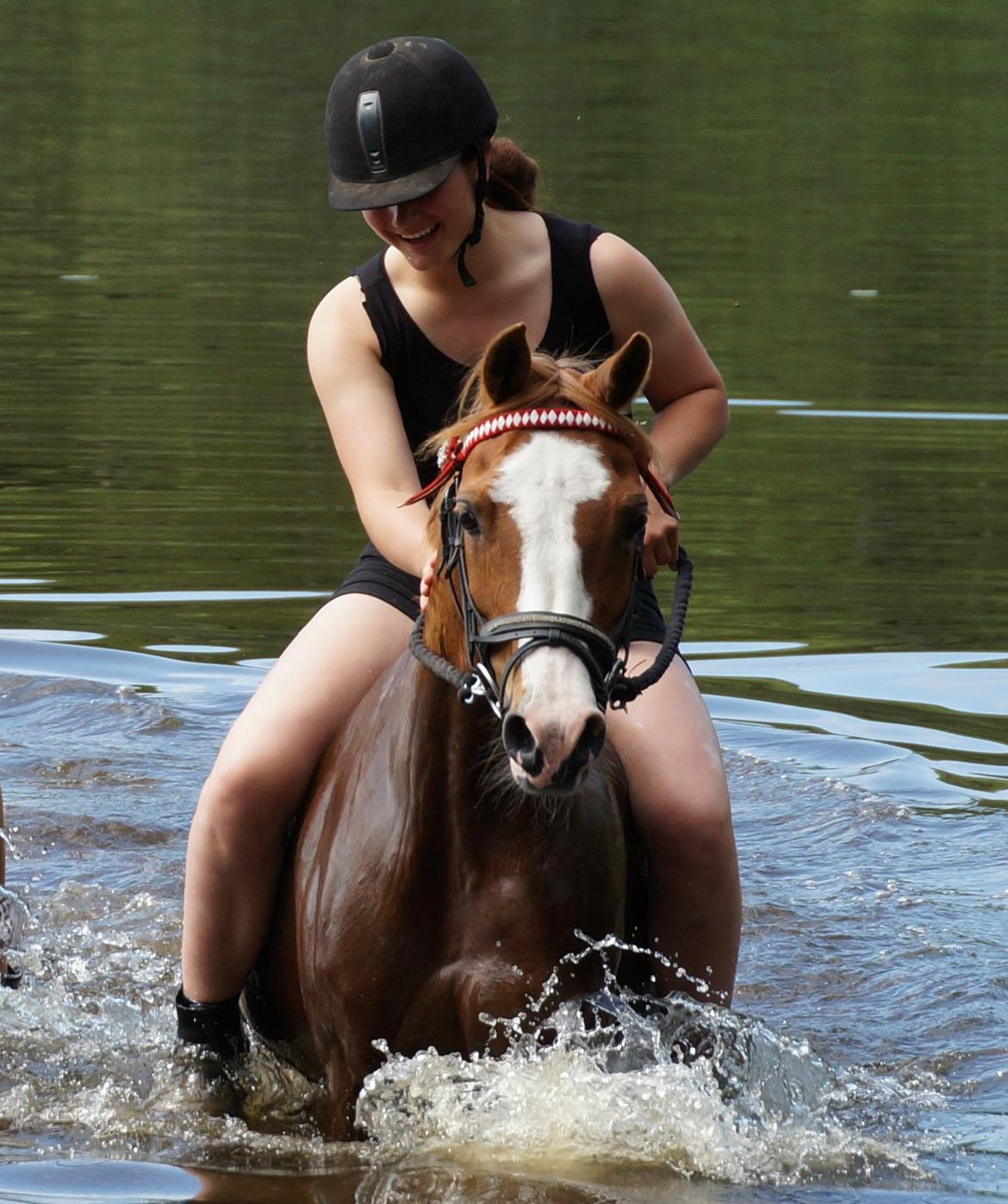 Anden særlig race Nikki - Den bedste der findes <3 billede 2