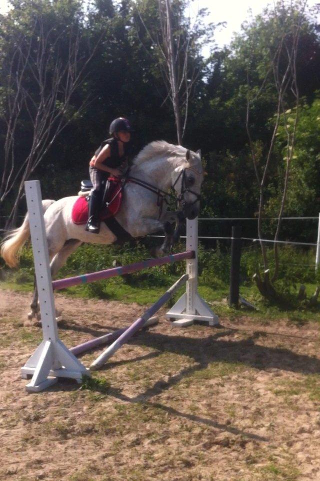 DSP nordenhøjs freja billede 1