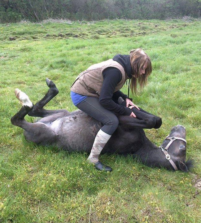 Anden særlig race Grønvangs Jocelynn |Joey| [Solgt] - Joey og jeg 2011 billede 7