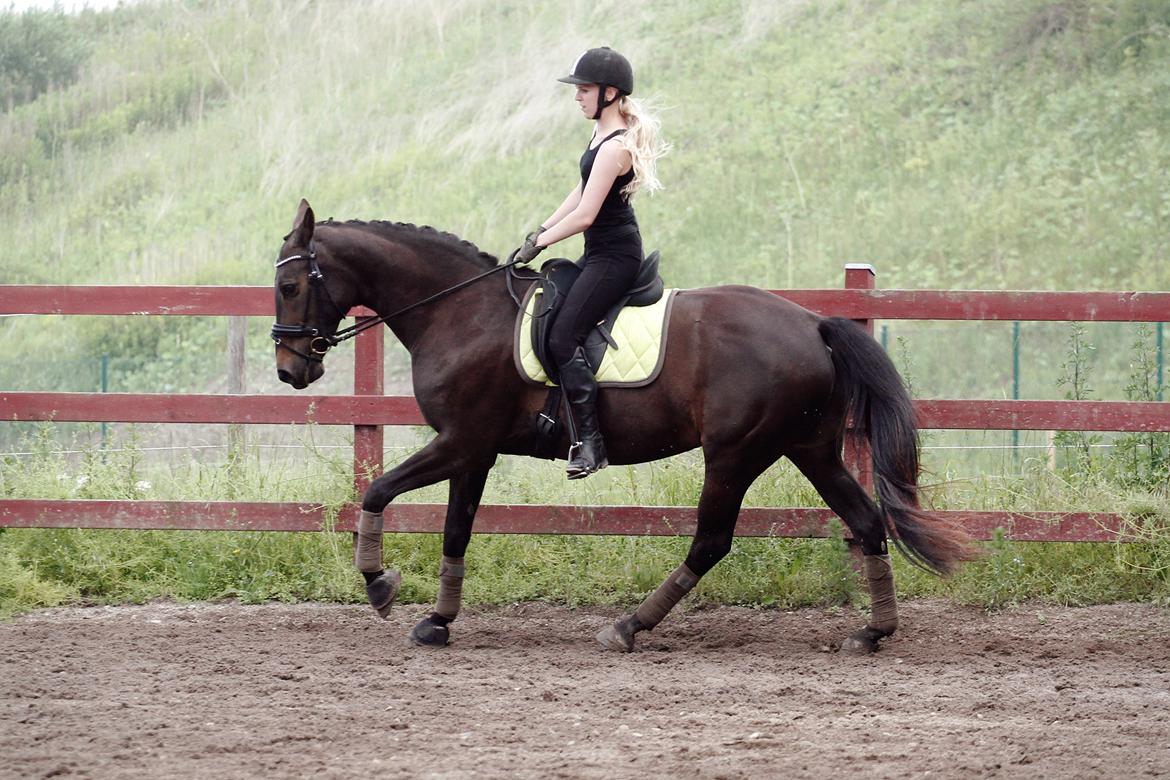 Anden særlig race Paskal - Palle og jeg juni 2013 billede 11