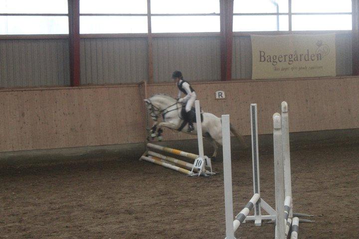 Welsh Pony (sec B) Jason - Træningsstævne på AAGS .  billede 14