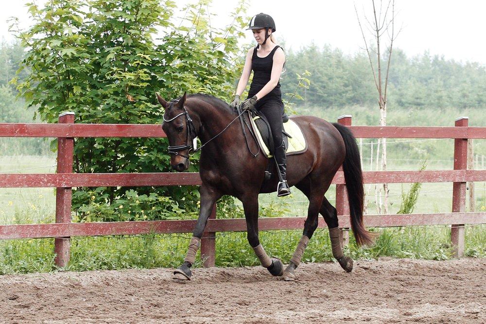 Anden særlig race Paskal - Palle og jeg juni 2013 billede 12
