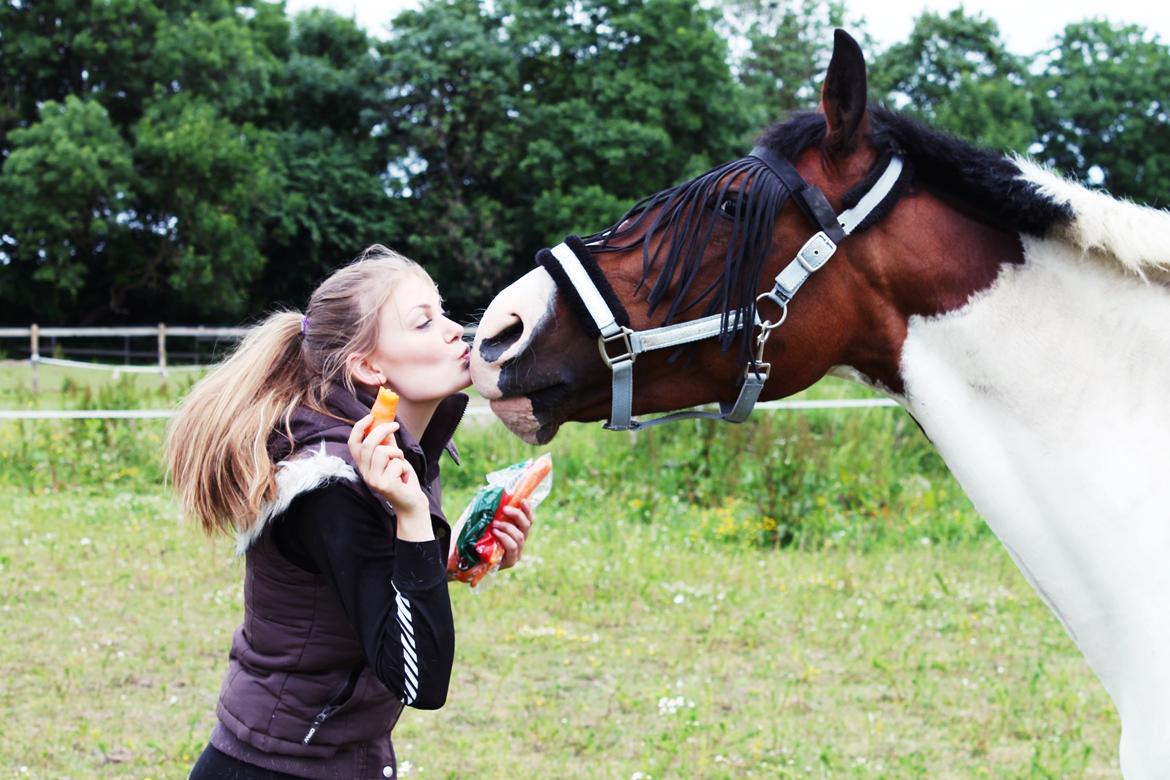 Pinto Cianette (Cia) - kys mig!;) nej hun vil hellere have gulerodden;)<3 billede 15