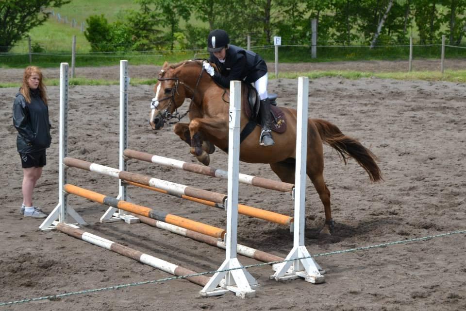 New Forest Engdalens Wendy - min bedste ven <3 - stævne d. 16-6-13! LC <3 Foto: JBH fotografi billede 17