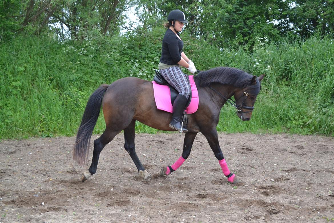 New Forest Elmholts nutella billede 19