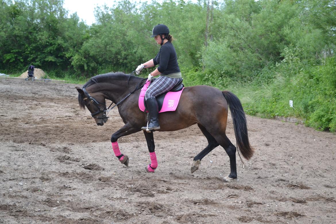 New Forest Elmholts nutella billede 20