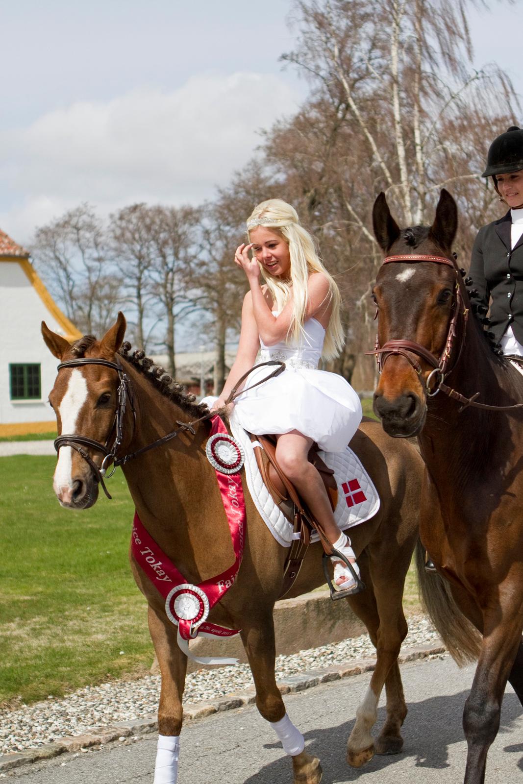 New Forest Fair Choice Tokay - Min dejlige pony lige forbi på slottet, så jeg måtte da lige ride en tur på ham billede 8