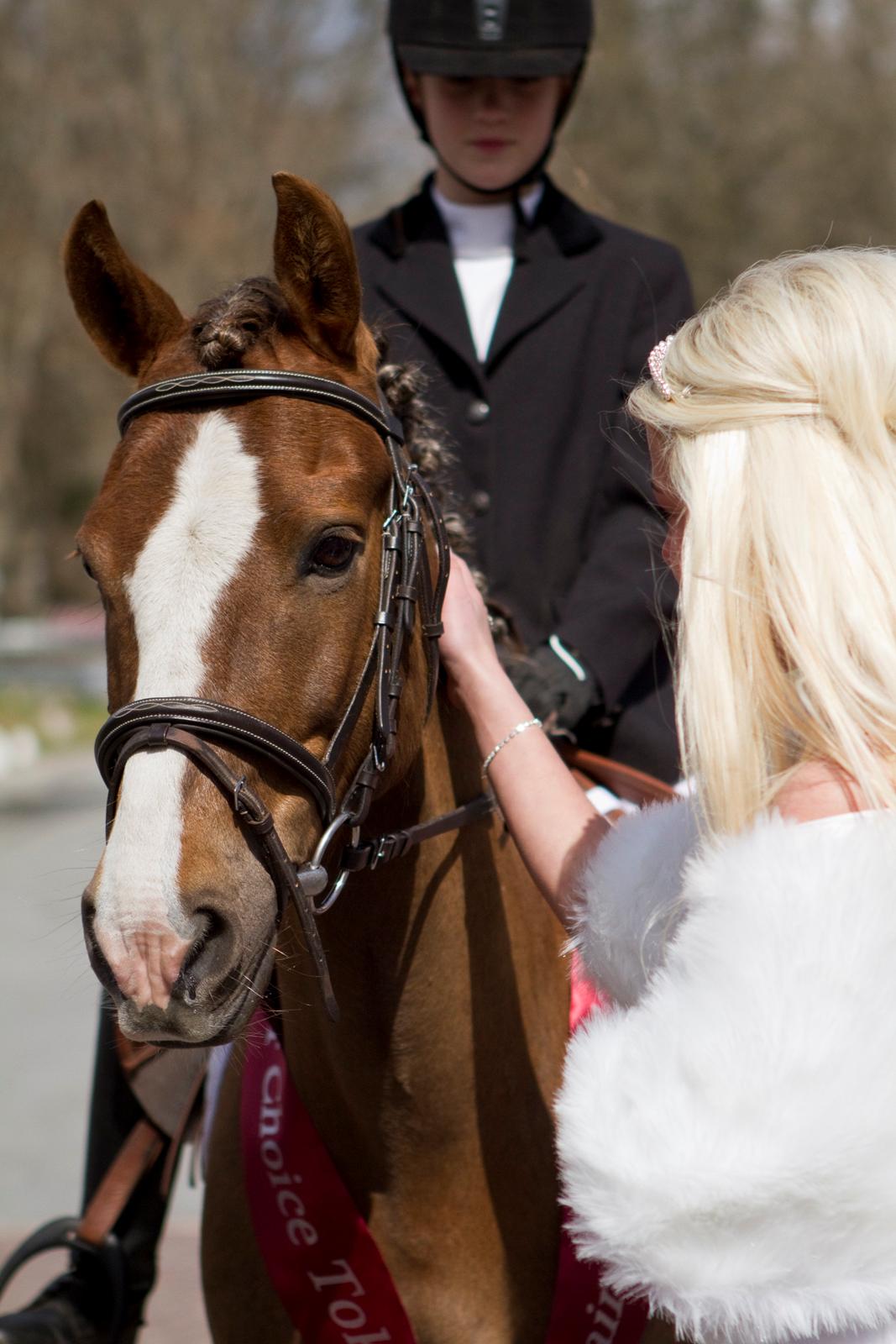 New Forest Fair Choice Tokay - min konfirmationsgave fra far og mor billede 11