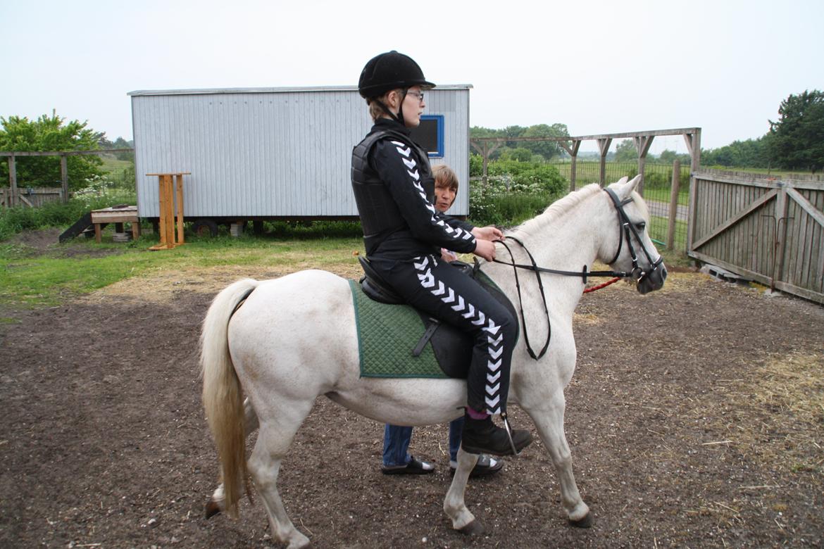 Welsh Mountain (sec A) Isabella Marijen aka geden - Virkelig en oplevelse for livet at komme op på en hest igen efter godt et år uden.
Og ved godt det forkert med de bukser men skidt med det billede 3