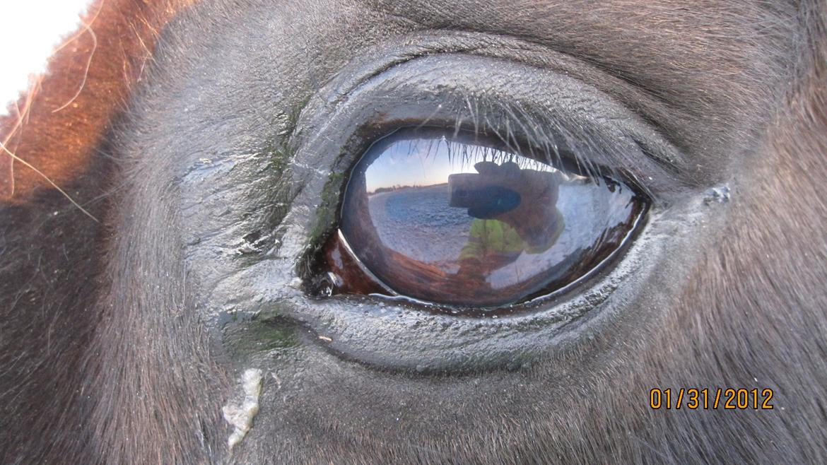 Traver Another st ( RIP ) død 17 dec 2018 billede 10