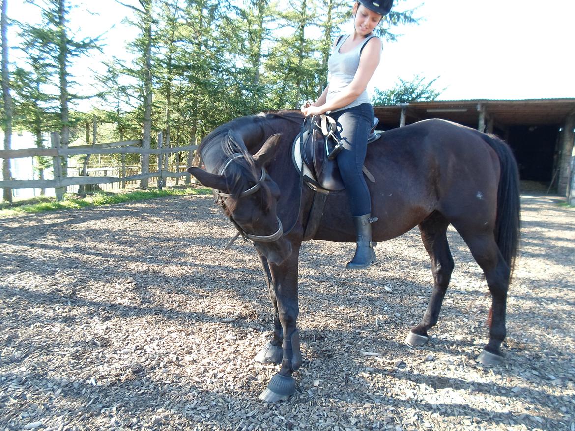 Traver Another st ( RIP ) død 17 dec 2018 billede 11