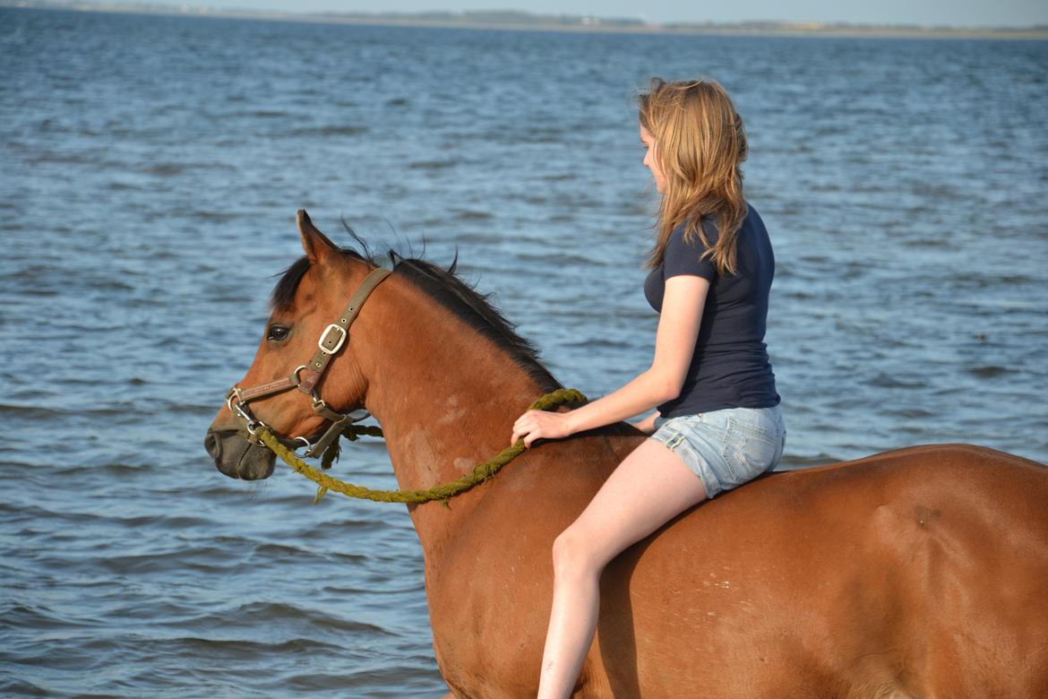 Arabisk fuldblod (OX) McAdoo ox - McAdoo og jeg på stranden 5. juli 2012 :)
- Beklager den manglende hjelm.
Foto: Min mor. billede 11