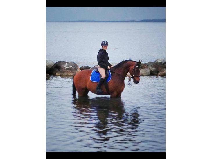 {{currentPhoto.altText}} billede {{currentPhoto.number}}