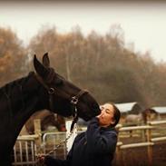 Frieser Fairytale Terplinggaard