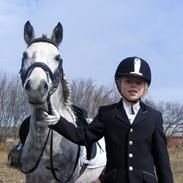 Welsh Mountain (sec A) Gribsvads Petula