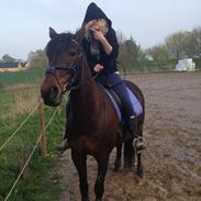 Anden særlig race Twister