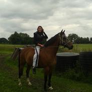 Anden særlig race wildy ( Hvalus )