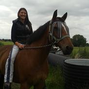 Anden særlig race wildy ( Hvalus )