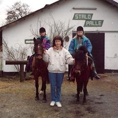 Anden særlig race Mitsi