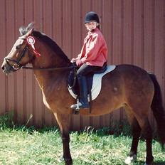 Anden særlig race Mitsi