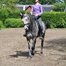 Anden særlig race sa tikki<3 Solgt & savnet