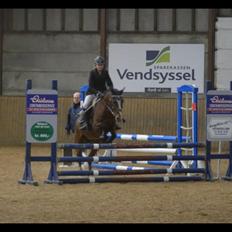 Anden særlig race Donja