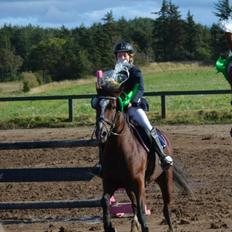 Anden særlig race Donja