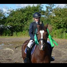 Anden særlig race Donja