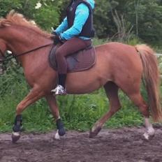 DSP Amanda af Bakholm