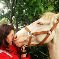 Anden særlig race Claus (Snowboy)