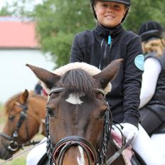 Anden særlig race Isabell <3