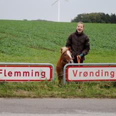 Anden særlig race Alberte *Bette skid*