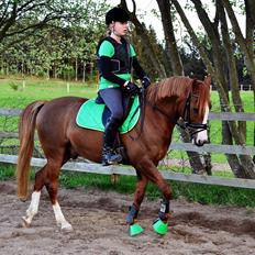 Anden særlig race Mon Cheri<3