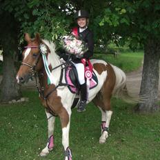 Hollandsk Sportspony Nelly