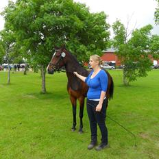 Anden særlig race Åbygårds Belchitana