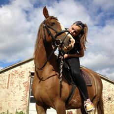 Anden særlig race Rosa