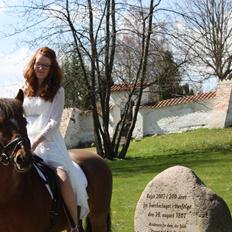 New Forest Kjølens Frigger