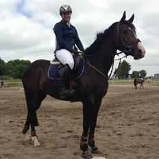 Anden særlig race Karlshøjgaards Ice Queen