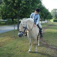 Fjordhest Ejerlykkes Corel [Part]