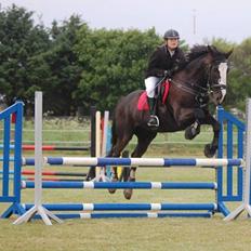 Anden særlig race Fanfan