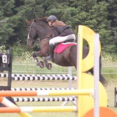 Anden særlig race Fanfan