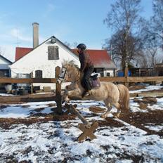 Anden særlig race Lucky