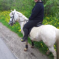 Anden særlig race Lucky