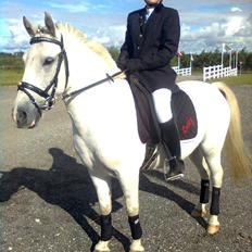 Anden særlig race Lucky